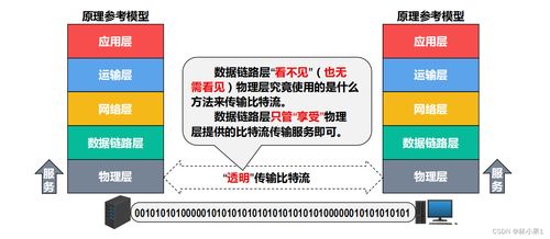 計(jì)算機(jī)網(wǎng)絡(luò)之物理層 信息管理與服務(wù)的基礎(chǔ)基石